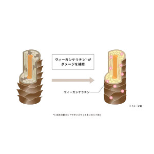 オルモニカ モイスチャー シャンプー 400ｍL