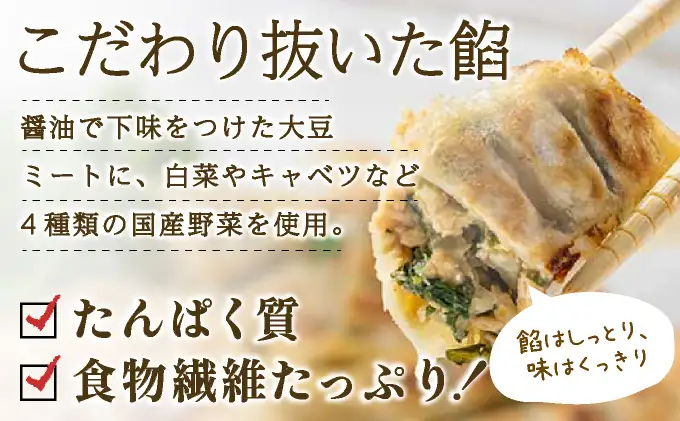 PEACEFUL GYOZA（ピースフルぎょうざ）ギフト2折セット　(18個入り×2箱)