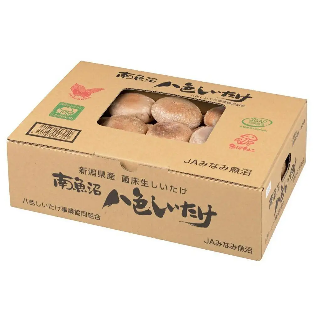 【贈答用】厚いにもほどがある「八色しいたけ」1kg ≪厳選 大型 肉厚 贈答用 厚い 八色 しいたけ 南魚沼市 産地直送 国産 きのこ 食材 高級 プレミアム ギフト用 美味しい 料理用 栄養豊富 秋の味覚 エグ味がない≫