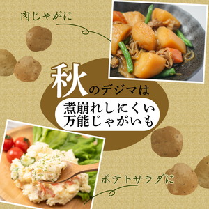 【訳ありじゃがいも】 春デジマ 5kg じゃがいも 安田町 大野台地 YK-0012