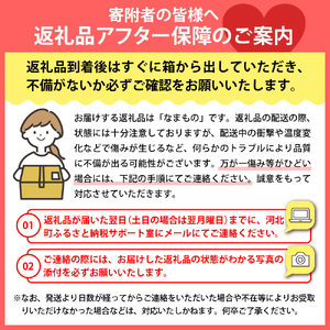 さくらんぼ 紅秀峰 500g 2L ギフト箱 令和8年産 さくらんぼ