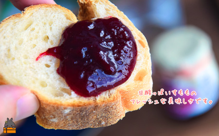 徳之島産すもも使用！低糖度の徳之島すももジャム（100g×2） （ すもも 完熟 ジャム パン 果物 フルーツ 徳之島 奄美 鹿児島 キッチンこころ ）