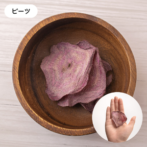 【2か月定期便】いぬのご褒美チップス20g×5袋 ペットフード 犬 無添加 おやつ 美味しい ご褒美 ドッグフード ドライ いぬ 犬用 いぬ用 愛犬用 R030-027