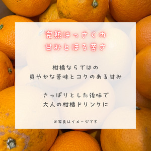 PURE DROP 八朔 1本