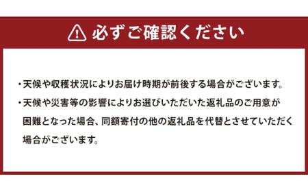 【3ヶ月定期便】【令和7年産】〈白米〉 雪若丸 5kg×3回 山形県産 (5kg袋小分け) 精米  【2025年11月上旬発送開始予定】