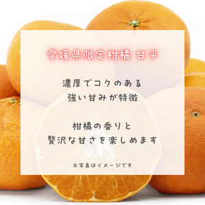 PURE DROP 2本セット 檸檬1本 甘平1本