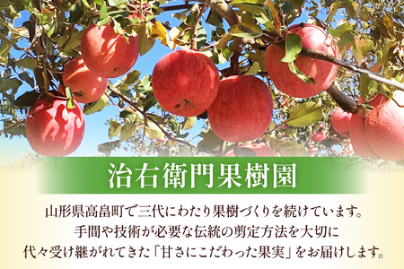 りんごジュース 果汁100% ふじりんご ジュース 900ml 2本入 2箱 計4本 [治右衛門果樹園 山形県 高畠町 tk06ays830018]