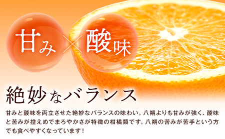 はっさく 紅八朔 約5kg