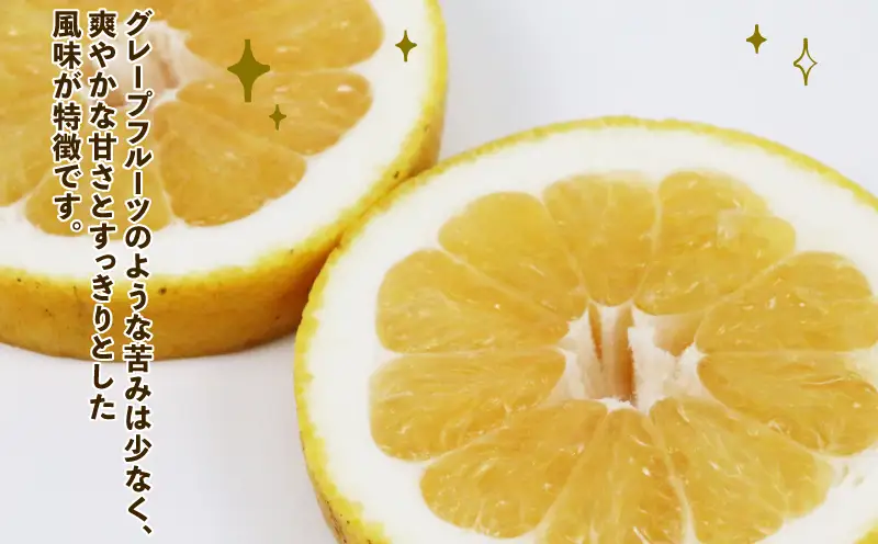 訳あり 河内晩柑 9kg 愛媛みかん まるはま農園 B010-202003