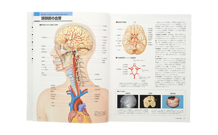 【講談社の大ロングセラー・累計77万部超】からだのすべてが一目でわかる！『新版 からだの地図帳』本 医学 ギフト 文京区 東京都