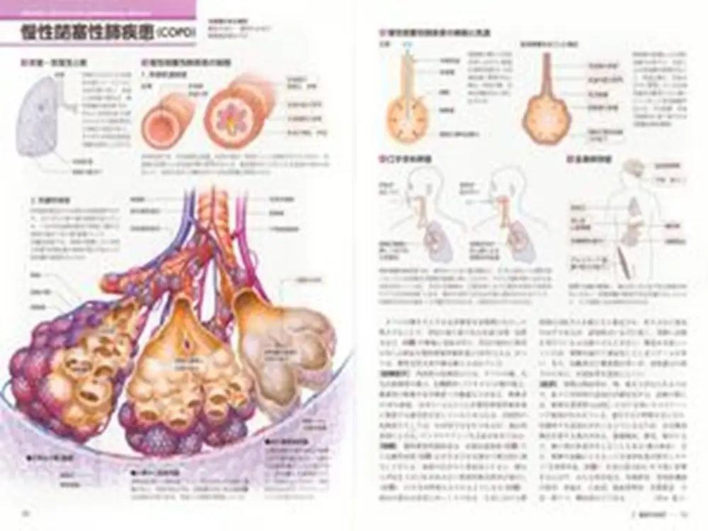【講談社の大ロングセラー・累計51万部超】病気の成り立ちが一目でわかる！『病気の地図帳 増補改訂版』 本 医学 ギフト 文京区 東京都