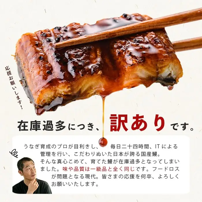 【訳あり・期間設定！】《800g 18,000円》国産 カット 鰻 蒲焼 計800g(80g×10P) 八本木樽醤油 うなぎ unagi カットうなぎ 九州産 蒲焼き 冷凍 うな丼 うな重 ランキング 人気 a8-099
