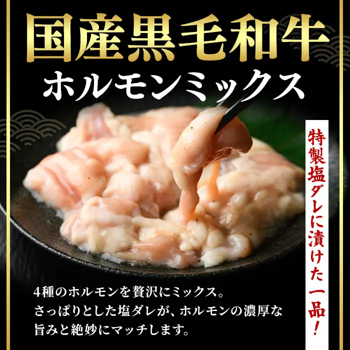 ＜14営業日以内発送！＞国産黒毛和牛ホルモンミックス 塩ダレ (計750g・150g×5)   国産 牛肉  ホルモン【肉のちょーさん】A1058