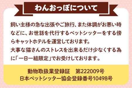 ペット ホテル【一日一組限定】キャットホテル 宿泊券 1泊 【レターパックライト】