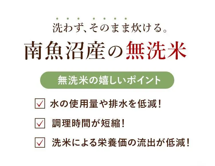 【令和7年産】南魚沼産コシヒカリ（無洗米）【5kg】