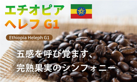 飲み比べ 自家焙煎コーヒー豆 各80g 2種 （ロースト豆）＆ドリップパック ３パック コーヒー A090-030