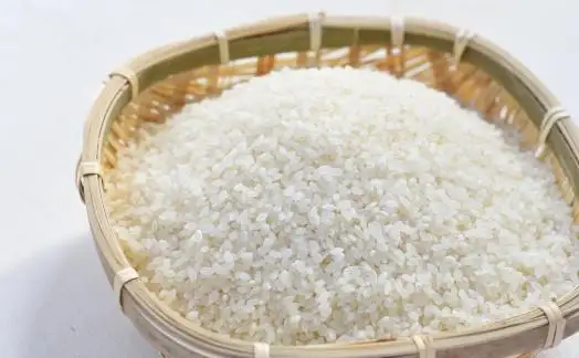 【令和７年産】南魚沼産コシヒカリ5kg 【銘柄米 ブランド米 精米 こしひかり コシヒカリ 魚沼産 南魚沼産 プレミアム 新潟米 新潟県産 高評価 高品質 高級 国産米 産直 ご飯 御飯 ごはん 厳選】