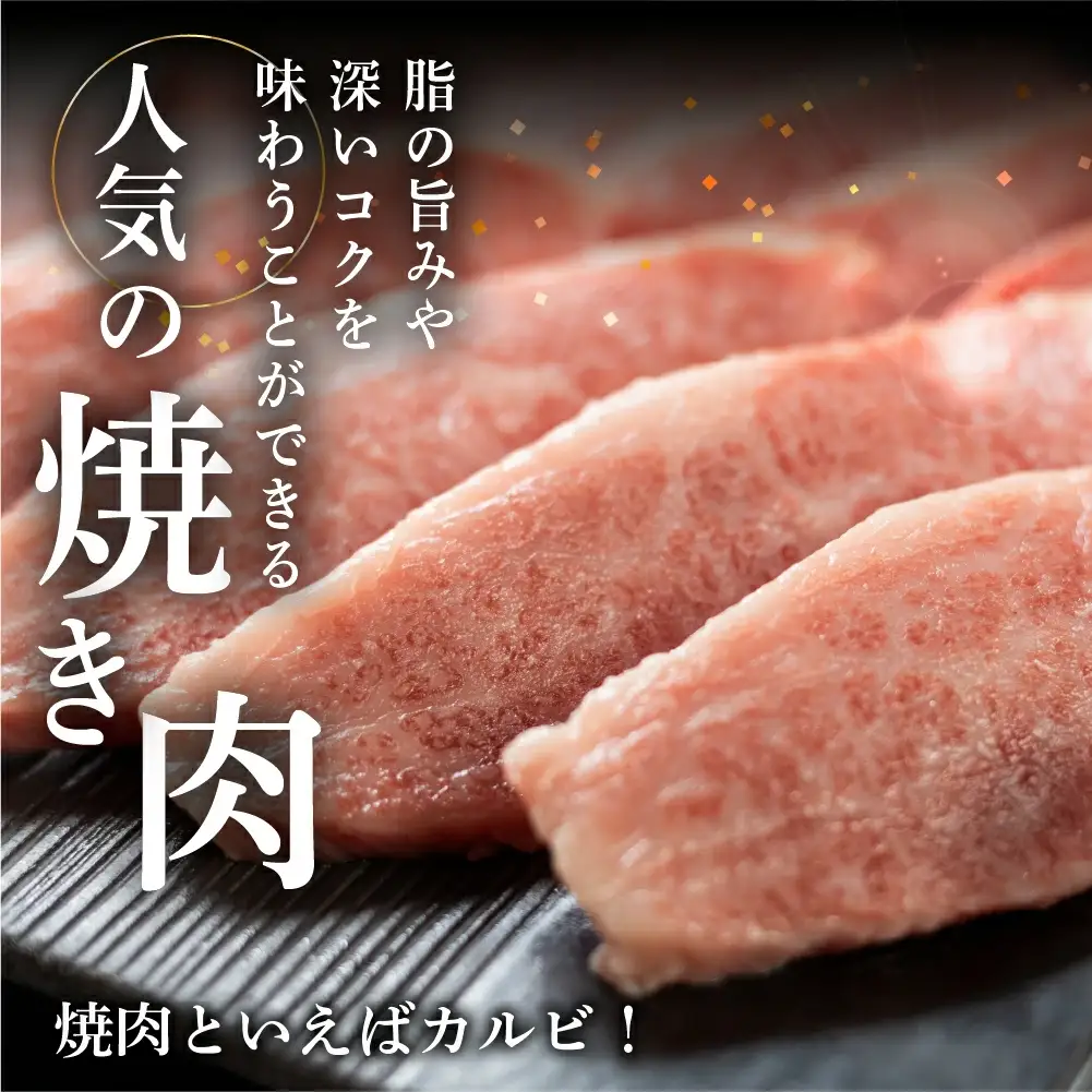 【定期便 3回】飛騨牛焼肉三昧！3ヶ月 連続定期便（2～3人前）【70-G】