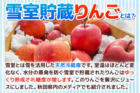 雪室貯蔵りんごを使用した贅沢ふじりんごジュース 40袋