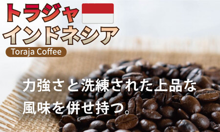 至福の一杯 プレミアム コーヒー 豆 2種セット ゲイシャ×80g、トラジャ×80g（粉） コーヒー A090-033