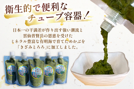 【ふるなびWEEK対象】 LAE298 有明海産 無添加めかぶとろろ（250g×10パック）