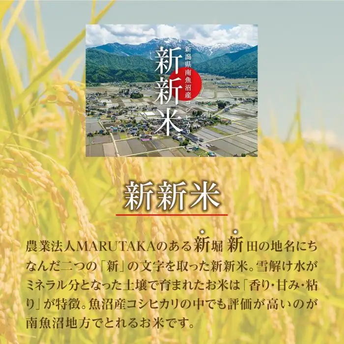 【令和7年産】【ふるなび限定】【新新米】南魚沼産コシヒカリ5kgふるさと八海山の農家直販　FN-Limited-SP