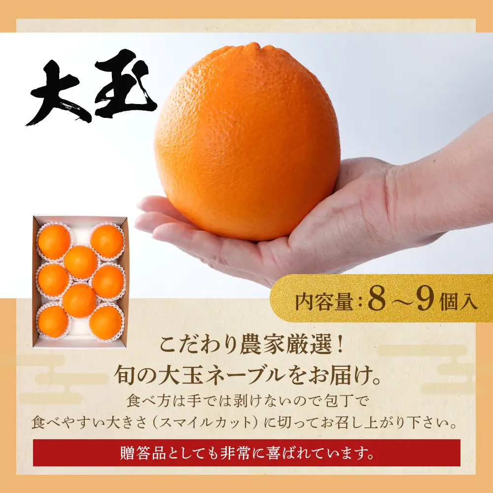 [先行予約] 和歌山県産ネーブル 約4kg　大玉（8個～9個）秀品 こだわり農家厳選 ［KG35］