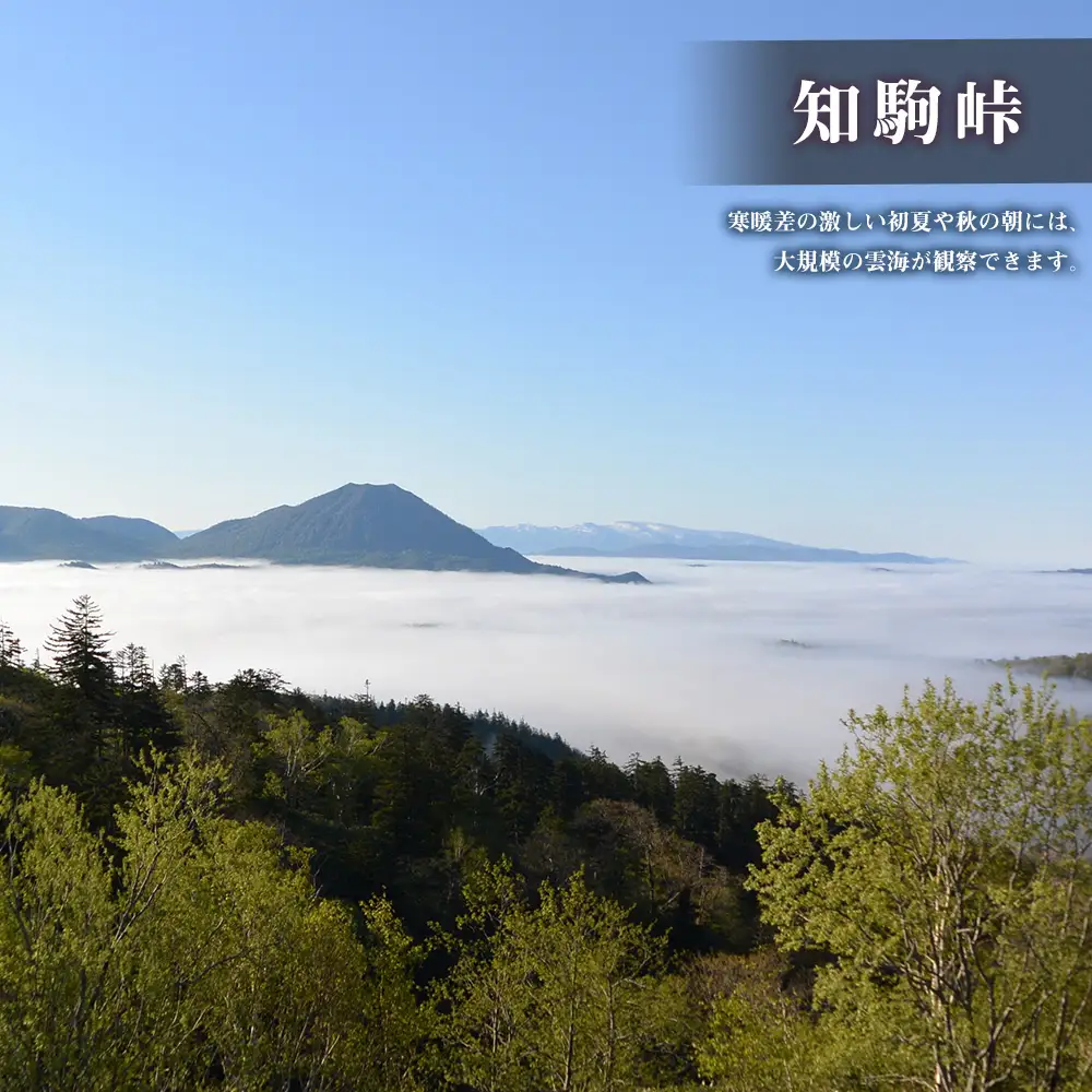 北海道 中頓別町 ☆応援寄附金☆【返礼品なし】100,000円分 ふるさと納税 寄附のみ