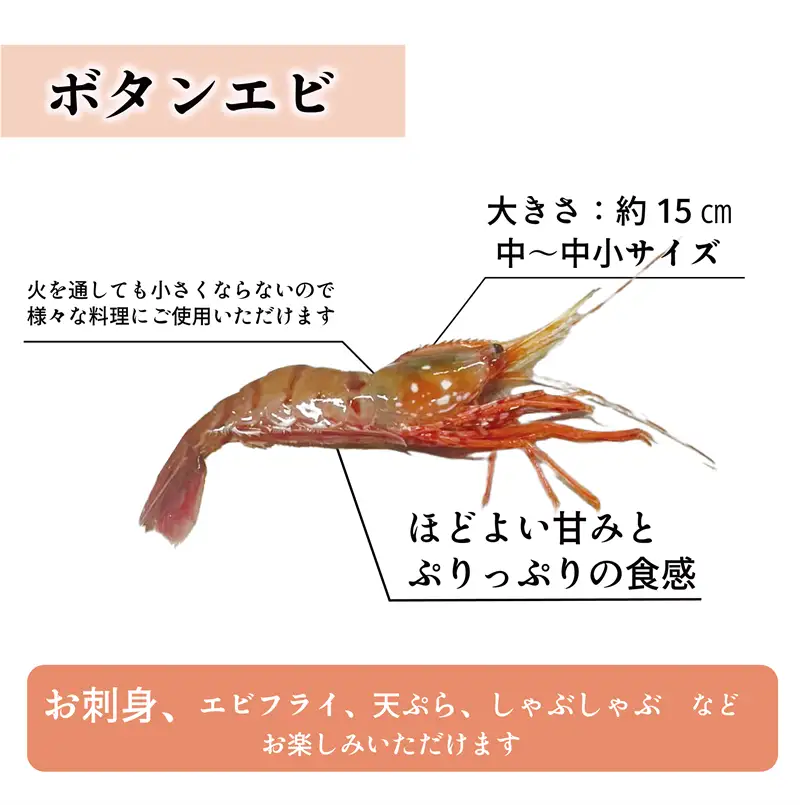 ＜ボタンエビ・シマエビ(冷凍) 1kg(各500g)＞北海道乙部町産 産地直送
