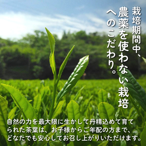 緑茶 やぶきた 中煎茶 200g (100g×2袋) 国産 静岡茶