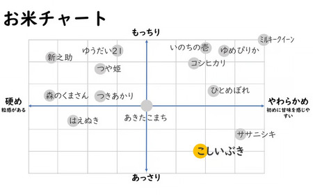 【令和7年産米】こしいぶき 白米 10kg（5kg×2袋） 新潟米 [Y0613]