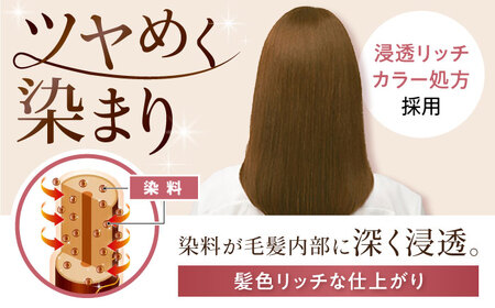 シエロ ヘアカラークリーム ライトブラウン 3個 / CIELO 白髪染め セルフカラー ヘアカラー / 瀬戸市 / ホーユー株式会社 [BBEL001]