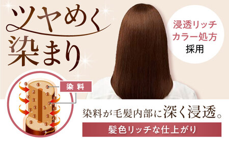 シエロ ヘアカラークリーム ブラウン 3個 / CIELO 白髪染め セルフカラー ヘアカラー / 瀬戸市 / ホーユー株式会社 [BBEL002]