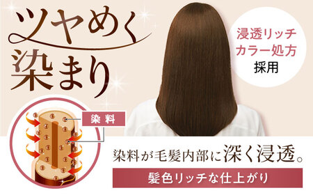 シエロ ヘアカラークリーム ダークブラウン 3個 / CIELO 白髪染め セルフカラー ヘアカラー / 瀬戸市 / ホーユー株式会社 [BBEL003]