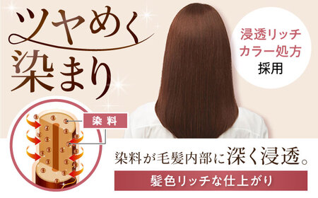 シエロ ヘアカラークリーム ダークピュアブラウン 3個 / CIELO 白髪染め セルフカラー ヘアカラー / 瀬戸市 / ホーユー株式会社 [BBEL005]