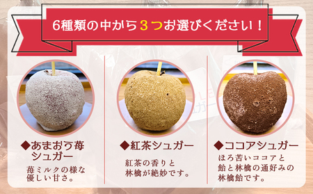 りんご飴 6種類から選べる3本セット りんご tt-0015