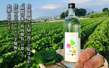 芋焼酎 和饗の紅 720ml 1本 芋焼酎