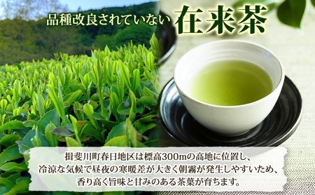 完熟苺の和紅茶 ティーバッグ 2g×10個入り 2袋 セット いちご 紅茶 和紅茶 お茶 在来茶 ストロベリーティー フレーバーティー ティー TEA プレゼント 贈り物 送料無料 傳六茶園 岐阜県 揖斐川町