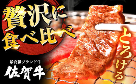 佐賀牛 希少部位 焼肉 3種 計600g 盛り合わせ【霜降り系ジューシー】　吉野ヶ里町/ミートフーズ華松[FAY115]
