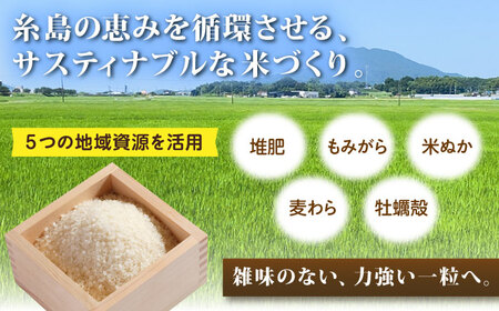 【令和7年産】【スピード発送】にこまる  白米 10kg(10キロ) 糸島市産 糸島市 / 糸島の恵み [AGR002] お米 