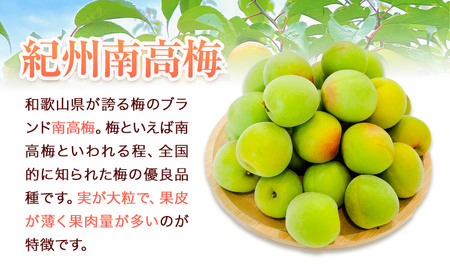 梅 紀州南高梅 3kg FARMER'S FARMER《6月上旬-7月中旬頃出荷》和歌山県 紀の川市 うめ 南高梅 青梅 紀の川市産