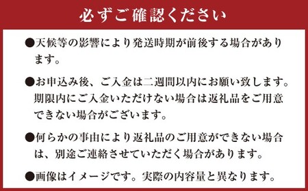 ひとさじでおうちごはんを整える発酵調味料・玉ねぎ麹 （1個） 玉ねぎ 麹 熊本県 水俣市