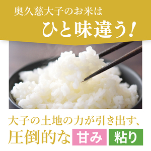 【無農薬米日本一コンテスト2年連続金賞】【谷田部農産】立神米 無農薬 こしひかり（白米）5kg｜茨城県 大子町 コシヒカリ 米 無農薬 コンテスト 受賞 生産者 大子産米 産地直送 令和7年産（BT081）