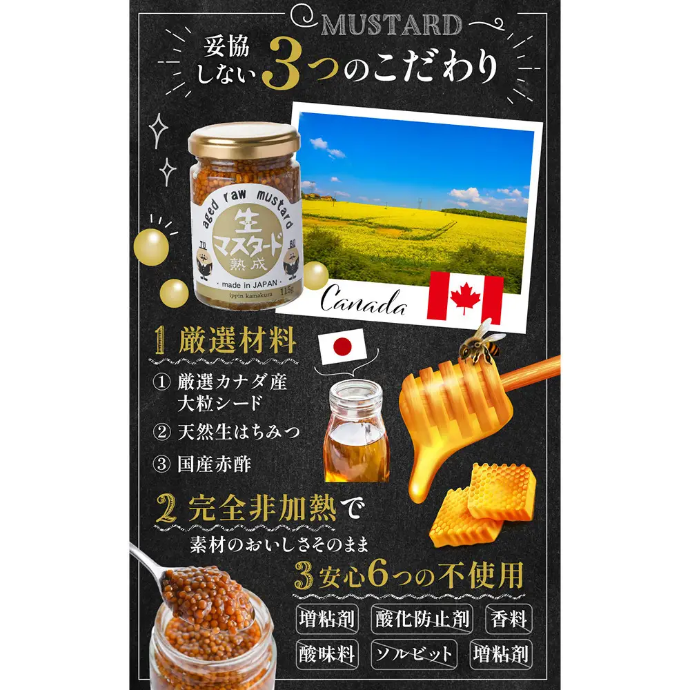 熟成 生マスタード　6個セット