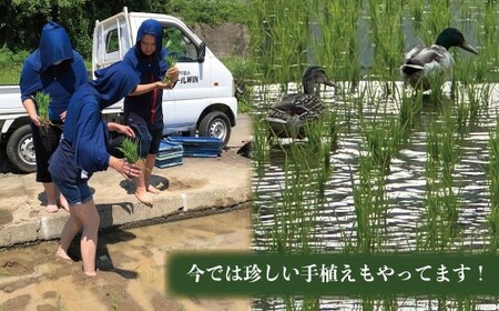 はっぴぃ米（ヒノヒカリ）山梨県 甲斐市 DD-1　