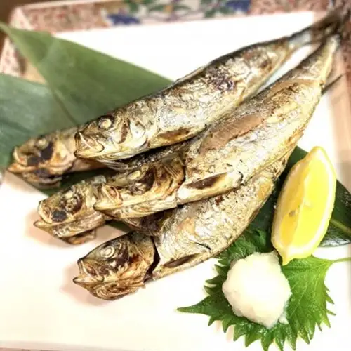 【岩手三陸・宮古港水揚げ】干物漬魚セット(2) 海の幸をおあげんせ干物【6種】・漬魚【3種】【配送不可地域：離島】【1717680】
