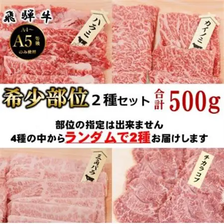 【飛騨牛】お勧め希少部位2種セット　250g×2【配送不可地域：離島】【1721860】