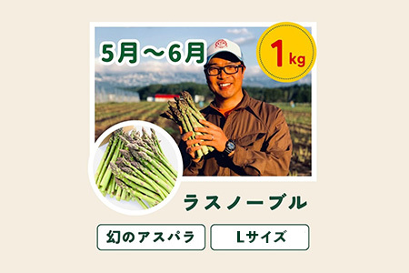 旬の野菜セット 5回 定期便  新鮮な野菜 百合 美瑛の四季【令和8年産予約受付】 