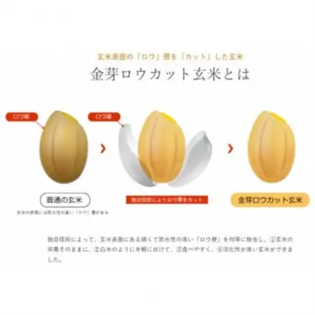 【毎月定期便】金芽ロウカット玄米 8kg(2kg×4袋)ふっくら柔らかい美味しさ!全3回【4081654】