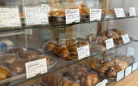 体に優しいベーグル 計10個セット 古代小麦 食物繊維 スペルト小麦 朝食 昼食 ランチ 軽食 おやつ 食品 F7X-0788